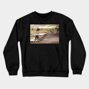 Giraffes at Watering Hole Crewneck Sweatshirt